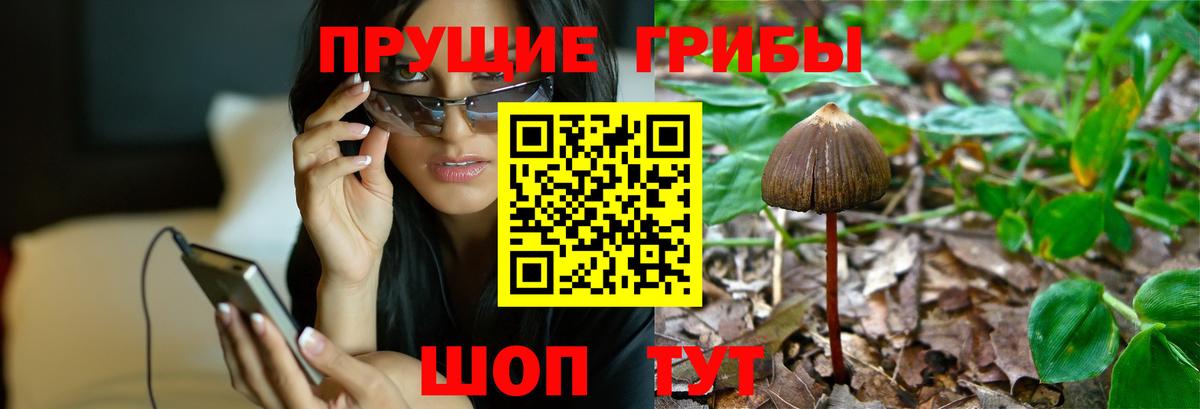 Псилоцибиновые грибы прущие грибы  Вход с VPN  Галлюциногенные грибы ЛСД  Кимры 