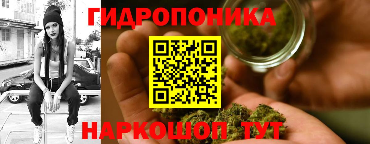 Кимры  Шишки марихуана Amnesia  Канабис планчик  Вход с VPN  Бошки Шишки Amnesia 